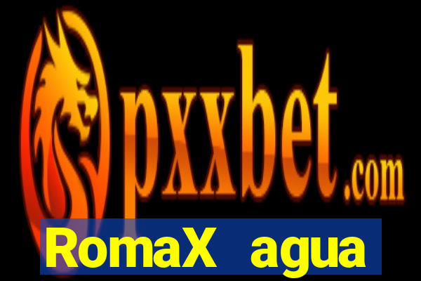 RomaX agua sanitaria fispq agua sanitaria romax